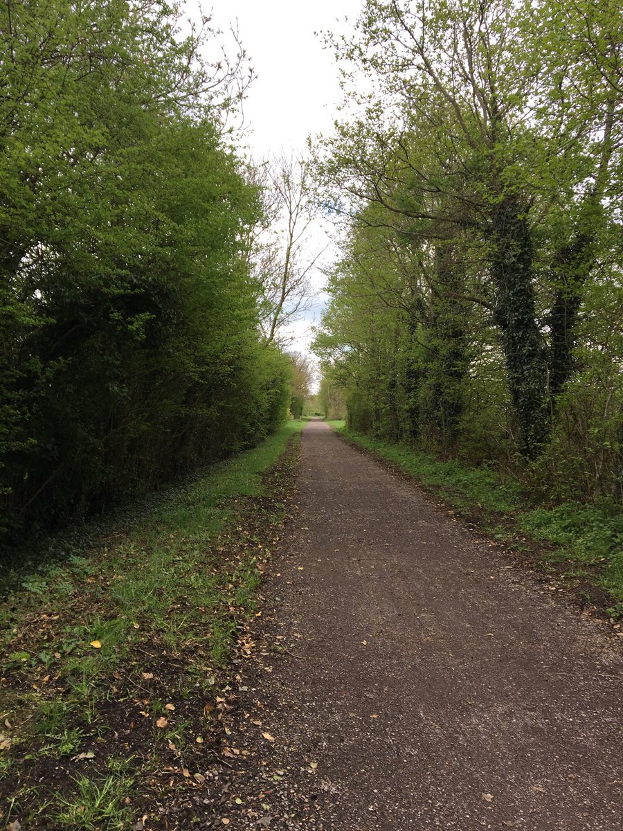 Fat Man Getting Fit tweet media