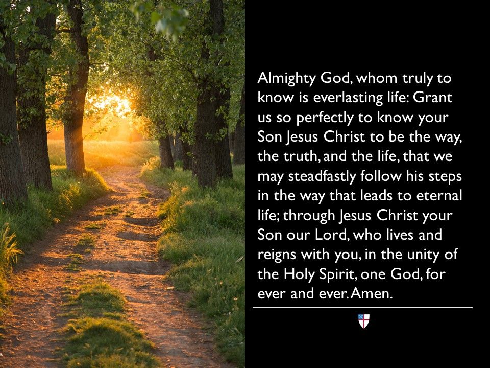 Almighty God, whose life is our true life, whose love is our love