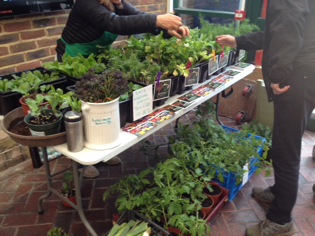 Seedy Sunday EB tweet media