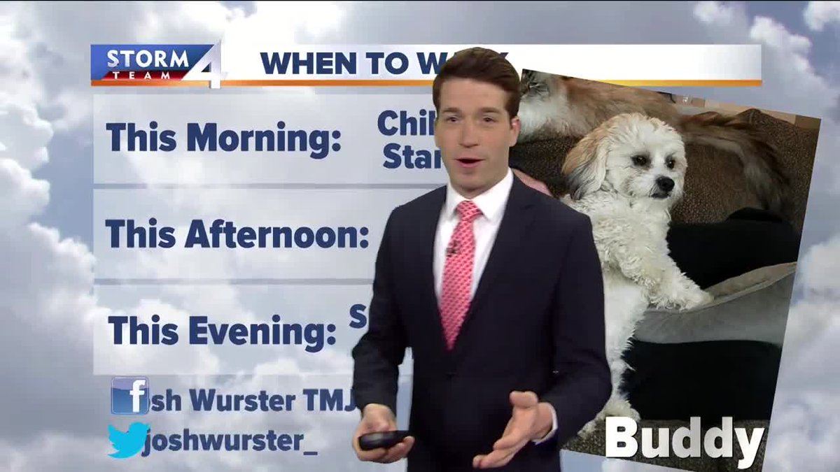 JuliaFello's tweet photo. .@joshwurster_ #WhenToWalk #StormTeam4 Cast shows it's best to do that long walk this morning and evening. Get out and enjoy. How cute is our weather dog Buddy? Message Josh to have yours featured! Email Josh: Josh.Wurster@tmj4.com https://t.co/hAz63pIzlm
