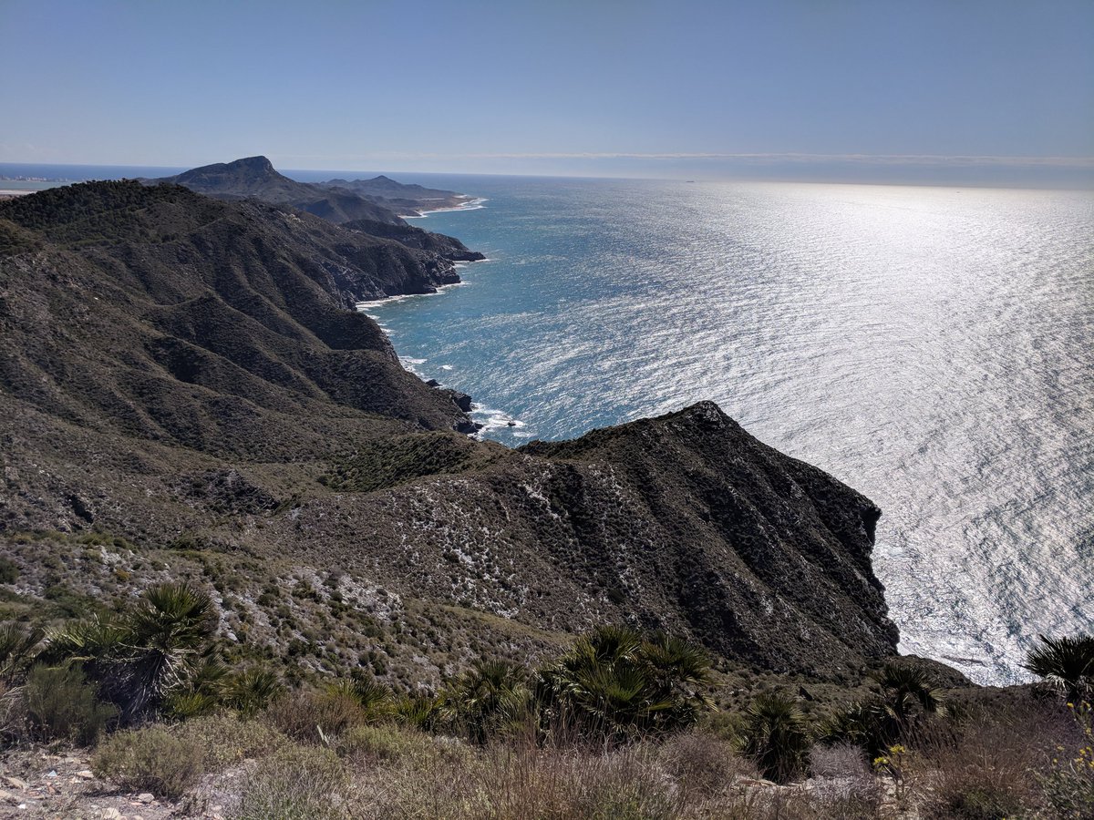 Peluko (@peluko5) on Twitter photo 