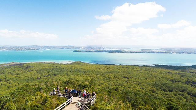 UltimateTraveI's tweet photo. Whatever you decide to do, make sure it makes you happy😄🇳🇿
#MyUltimateMoment #UltimateNZ #TravelUltimate •
•
•
•
•
#ultimatetravel #travel #newzealand #wanderlust #gapyear #igtravel #ignz #adventure #travelforever #letsgoeverywhere #travelgram #t… https://t.co/2kA1ENKV3A https://t.co/MyZHdPnDPy