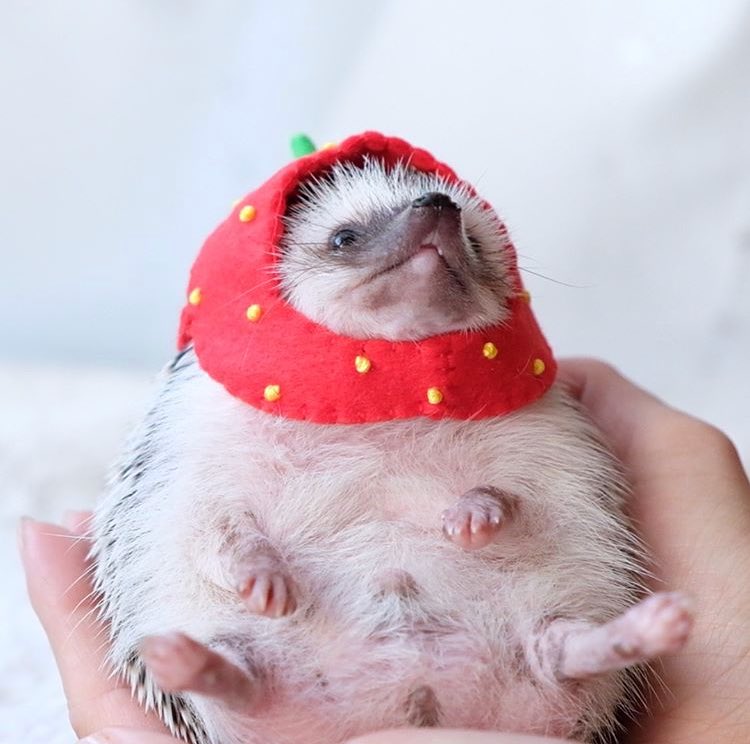 Sunday 29th April, 2018