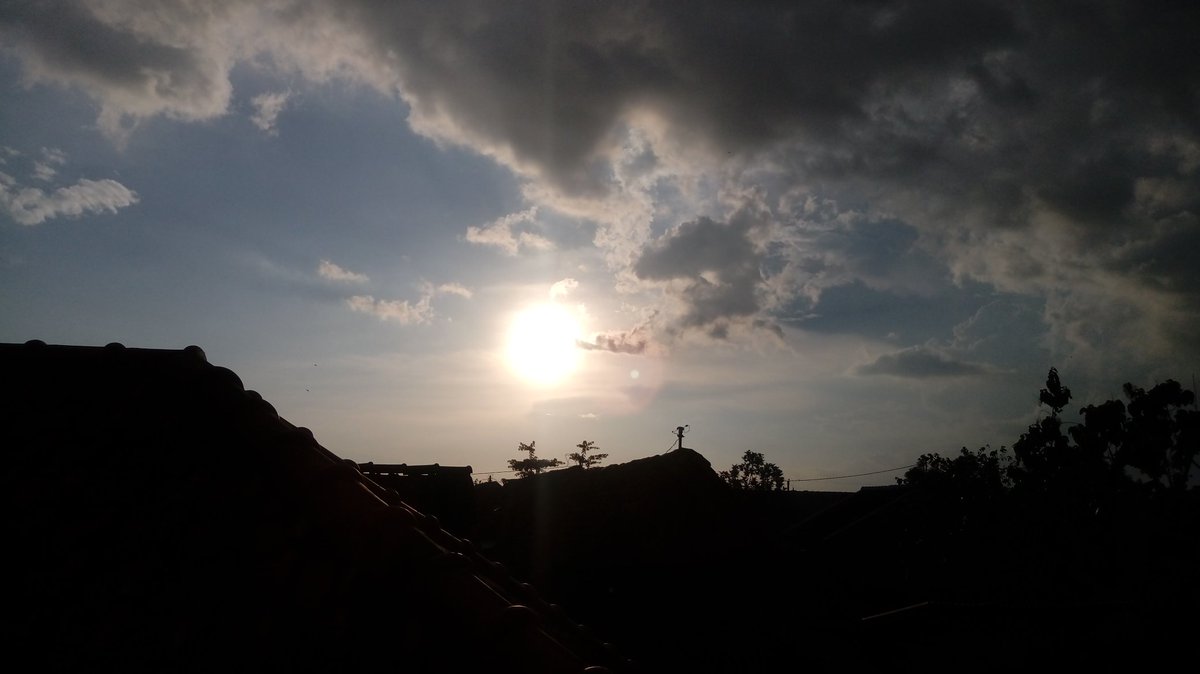 amphotherapy's tweet image. Few days back
#sun