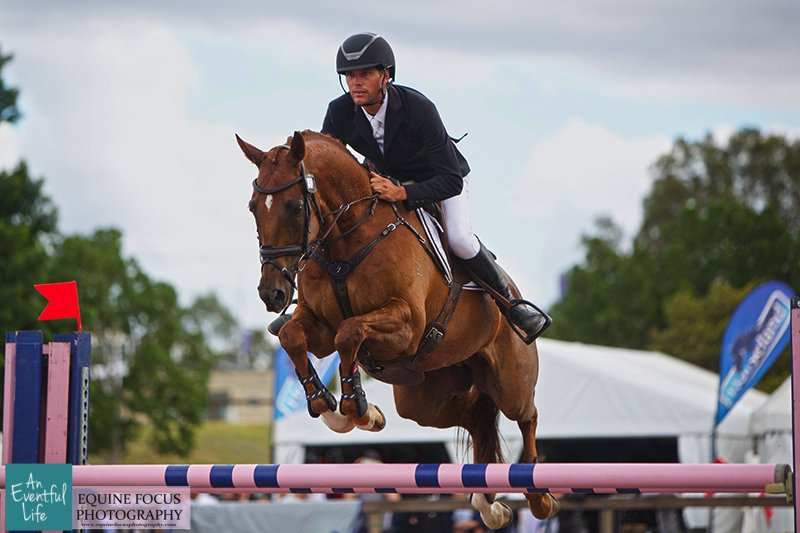 eventfulifebook's tweet photo. The only combination to finish on their dressage score and just 0.3 penalties behind the winner @SydneyEventing - Rob Palm @PalmRobg and yet another starry Koko #eventing horse, Koko Story #SydHT https://t.co/YOXomoeGRg https://t.co/M2RHsudTY7