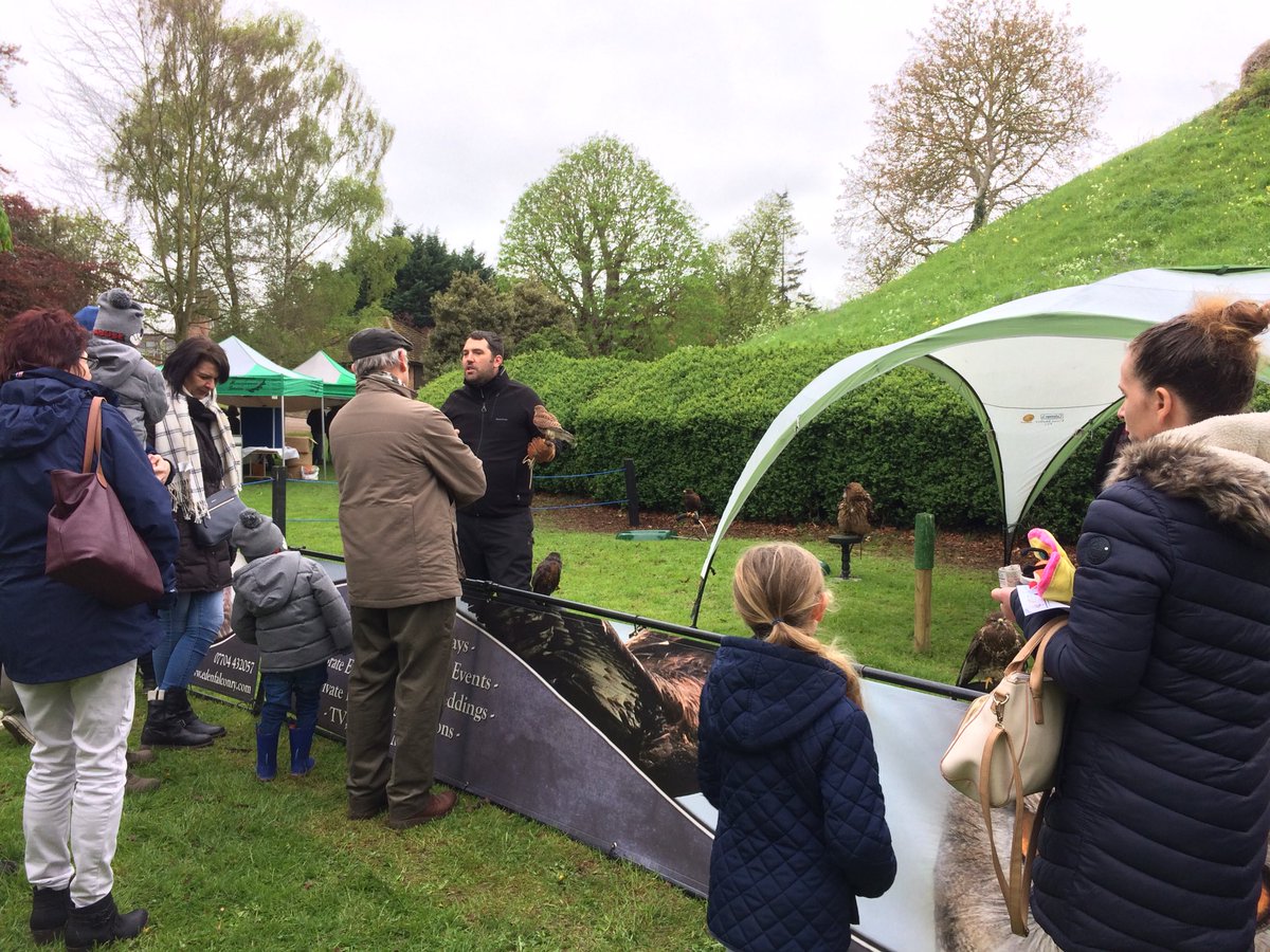 CastleParkBS's tweet photo. Fascinating talk from @EdenFalconry https://t.co/CeMCUSWUFD