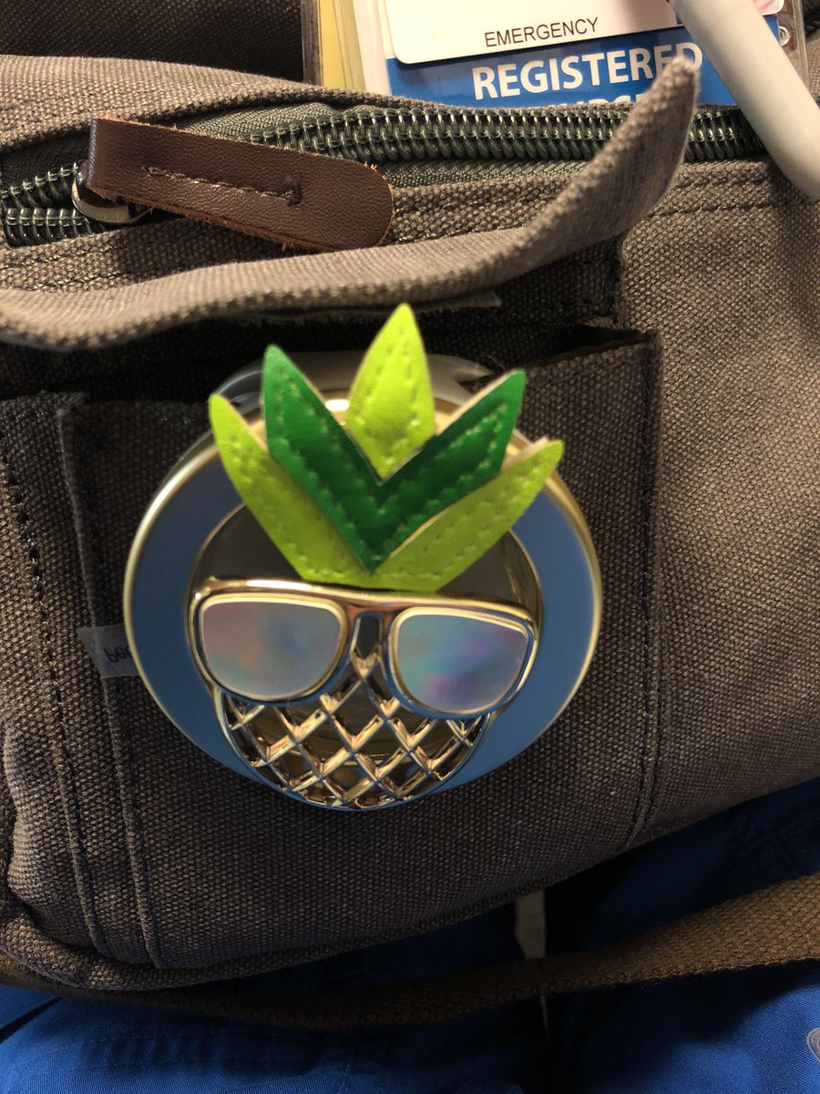 ERshitmagnet's tweet photo. I keep a car air-freshener clip on my work bag for good smells.
Look like crap, feel like crap, get crapped on... but smell like peaches ๐
#nursehack https://t.co/9m50eaGW9U