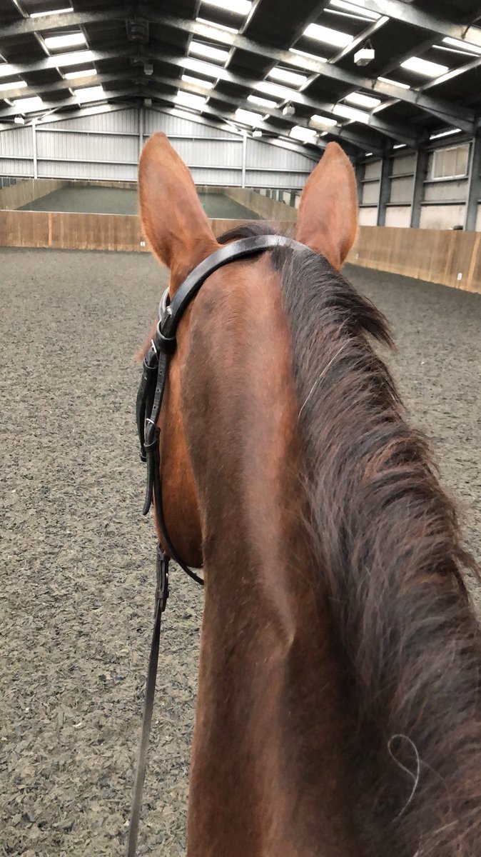 Best way to spend Sunday morning 🦄💖