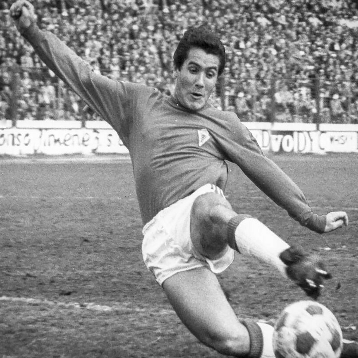 realmurciacfsad's tweet photo. [J36] #RealMurciaBetisB
Partido homenaje a #ChuchiGarcía https://t.co/Fr77qXrpXL