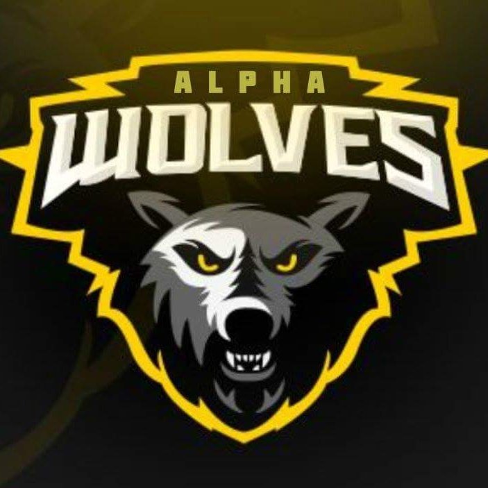 LigaOceano's tweet photo. 31/32 Equipos  En Participar Ellos son!!!!! 
@alphawolvescr https://t.co/WTNRYyLRQu