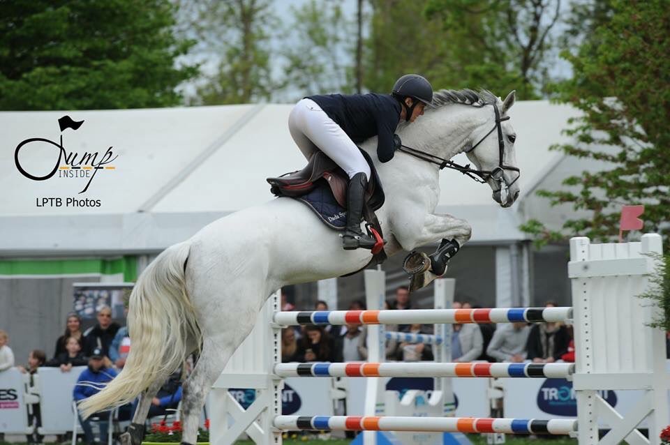 Dada_Sport's tweet photo. Alex Francart fait vraiment un super début de saison. Après ses excellents résultats à Vittel, elle remporte hier l’épreuve des 7ans avec Betty du Prieure lors du CSI de Maubeuge! Bravo Alex ! 💪🏻🌟 
One our Dada Girl won the 7y class yesterday in Maubeuge . Well done Alex ! https://t.co/reAIVdvTw2