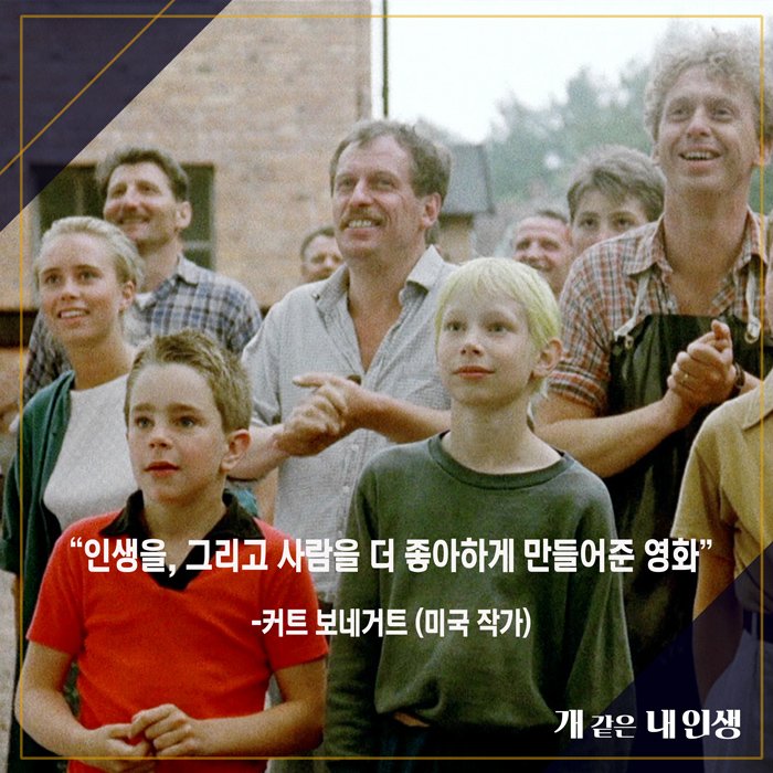 "인생을, 그리고 사람을 더 좋아하게 만들어준 영화" <개 같은 내 인생>을 향한 극찬 리뷰! ✔️감동리뷰 이벤트 https://goo.gl/4L5Rbi #개같은내인생...