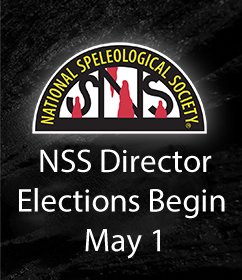 NSScaves's tweet photo. NSS Director Elections Begin Soon!  Ballots will be issued May 1.
Now’s the time to learn about the candidates.  Candidate platform statements are available on line at https://t.co/imlysWBnnZ https://t.co/TdQZ53V7Id