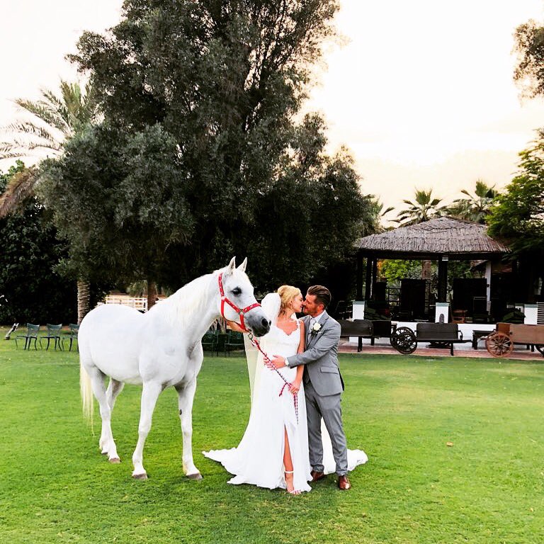 desertpalmdxb's tweet photo. Are you dreaming of an Arabian avant-garde Wedding? #perfectlocations #weddingbackdrop #secretgreenery #yoururbanoasis #equestrianstyle #arabiaavantgarde https://t.co/zhNUSByrxK