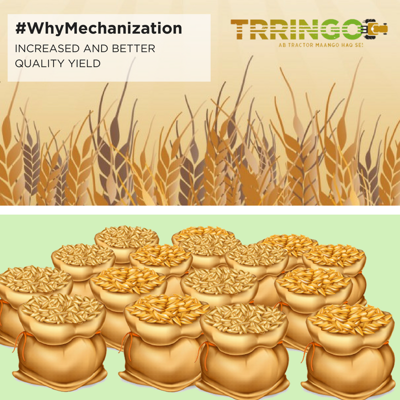 TrringoFarm's tweet photo. #WhyMechanization | Reason #5 - Increased and better quality yield. Who doesn't want to reap a high yield of a much better quality than the previous crop? Call us on 1800-266-266-8 now to make it happen! https://t.co/fHDCiOlPPq