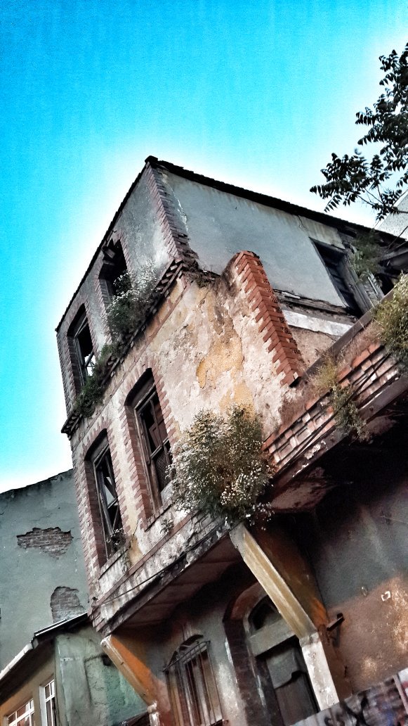 Yosun tutup rutubet kokan duvarda çiçek açtıran Allah; seni unutur mu sandın?