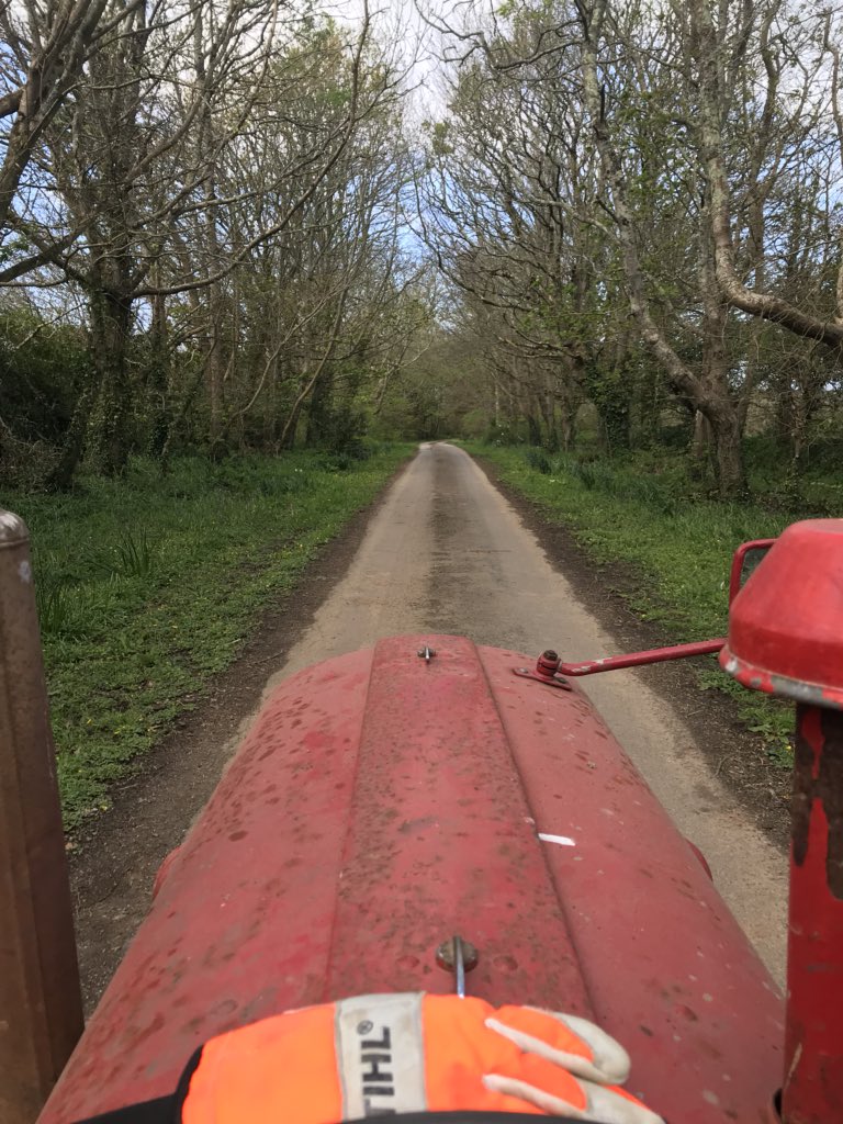 Kernow_Life's tweet photo. #LittleRedTractor #Time . #wheelie #bins at the ready!๐ As the new year has progressed , #snow โ๏ธโ๏ธ included it seems thereโs been an explosion of #growth #activity in the #lane . #buttercups #cowslips thereโs a carpet of #bluebells in the making. Going to be #spectacular https://t.co/30LQkUOW3Y
