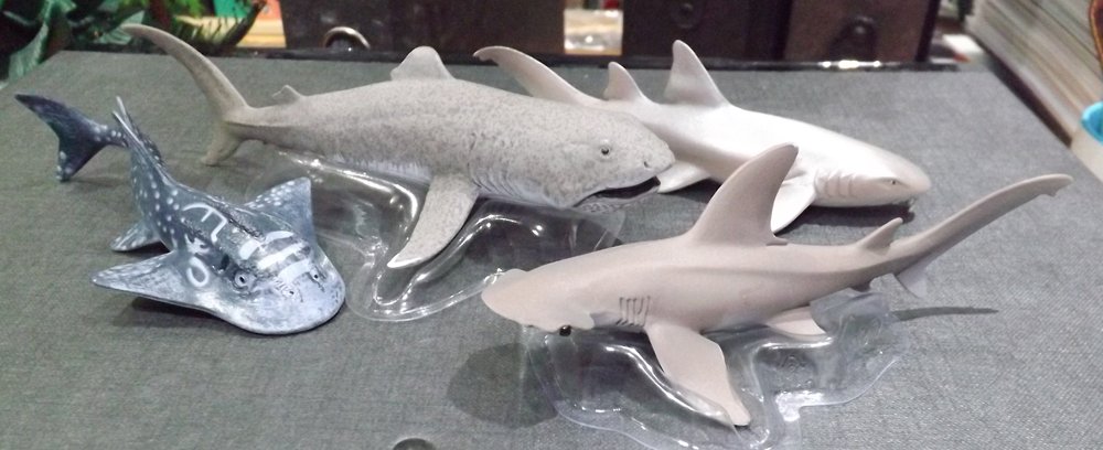 TetZoo tweet picture