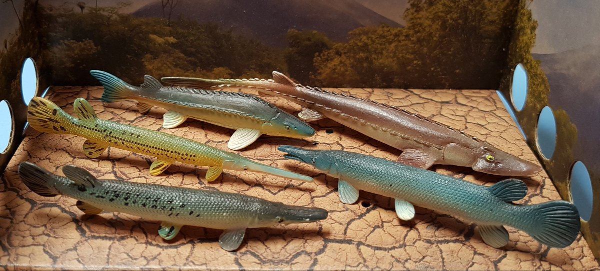 TetZoo tweet picture