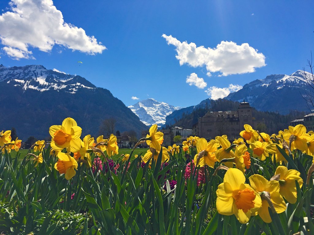 Switzerland tweet media