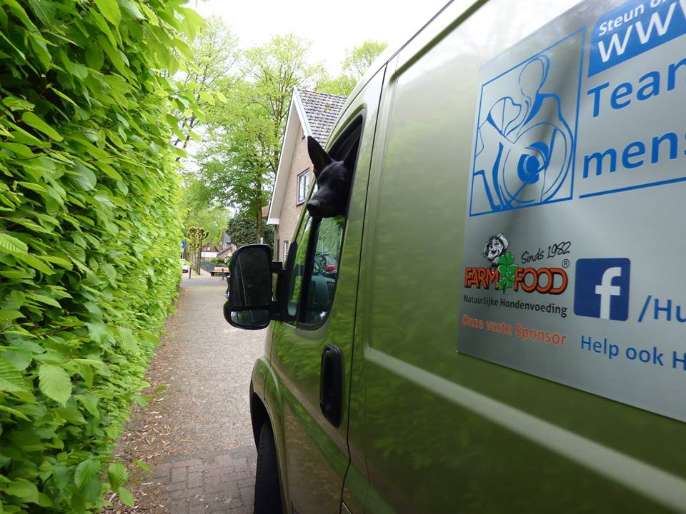 CLiCKhulphonden's tweet photo. In juli opent De CLiCK/Sanne Singer in Otterlo een praktijk voor gedragsadvies voor honden en hun eigenaar. Lees verder: https://t.co/WIzJ8jZ2wL https://t.co/g8VbMFN83J