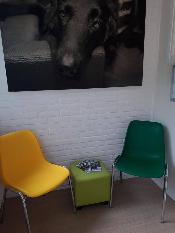 CLiCKhulphonden's tweet photo. In juli opent De CLiCK/Sanne Singer in Otterlo een praktijk voor gedragsadvies voor honden en hun eigenaar. Lees verder: https://t.co/WIzJ8jZ2wL https://t.co/g8VbMFN83J