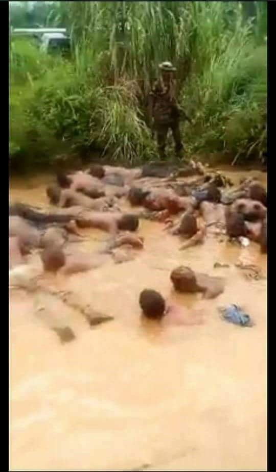 Anyanwu Uchenna tweet media