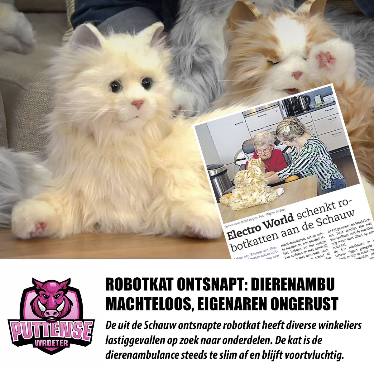 #robotkat #ontsnapt, eigenaren ongerust #putten #houdramenendeurengesloten bit.ly/2HTIoEb