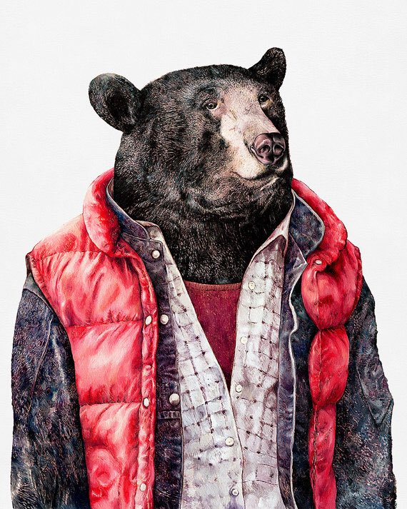 brookwealdcc's tweet photo. @SBarnesRugby Trendy bear? https://t.co/YPN4lDbbCC