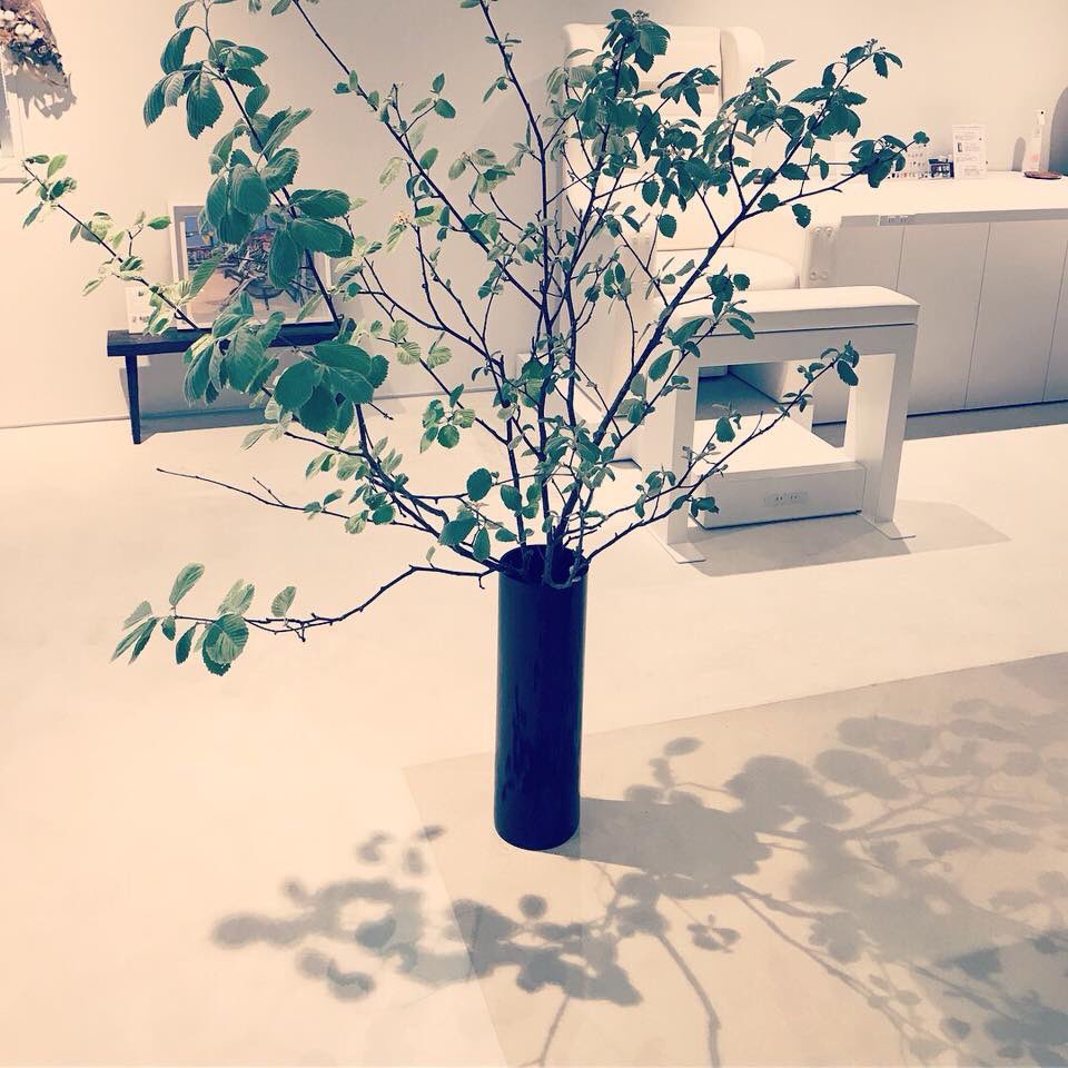 爪庵 Souan Kurakuen Souan Twitter