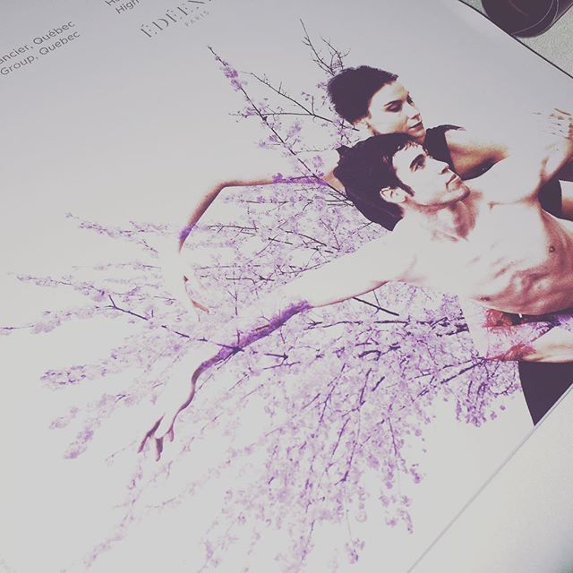 LesRockalouves's tweet photo. Une de nos louves a participé au Gala bénéfice des @grandsballets ! Une soirée parfaite et tout en beauté. #instalouve #mtlblog https://t.co/irGoXKlTOR https://t.co/bnzAd4r9E4