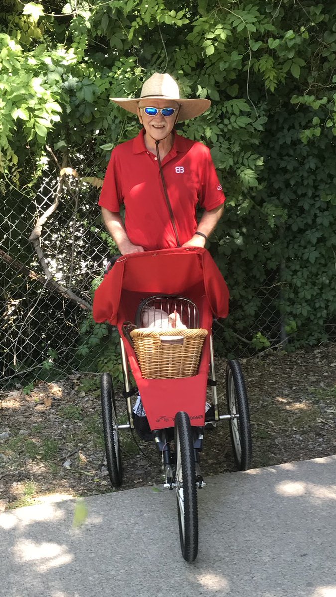 to_knox's tweet photo. Beautiful day for a walk on the Katy Trail @KatyTrail #chicken #dallas #PetsAreBeautiful https://t.co/HhdhZvw1bT