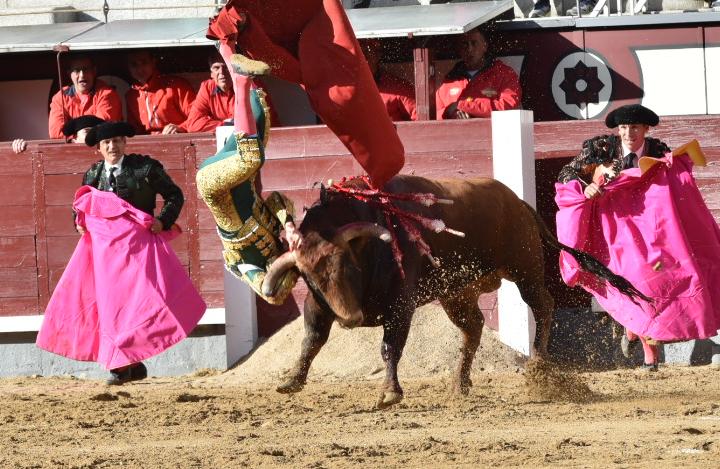 AVANCE MADRID- La firmeza de Navarrete recibe una cornada del tercero cultoro.es/festejos/2018/…