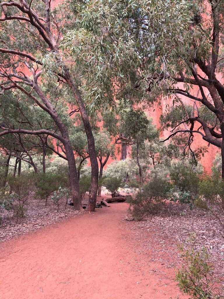 “Atardecer en #Uluru, todo un espectáculo de color” Delegación Española post #GSWSydney