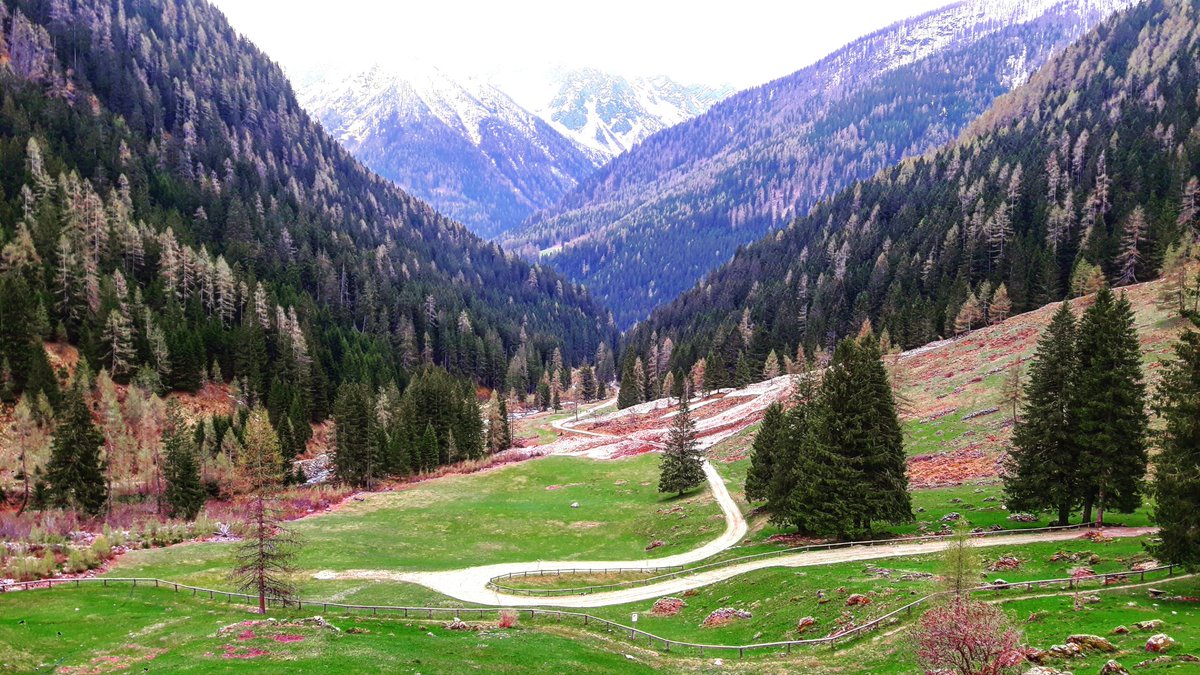 CATELI79FE's tweet photo. #mountains #snow #spring #summer #trees #naturelovers #photography https://t.co/u58yW6CqCm