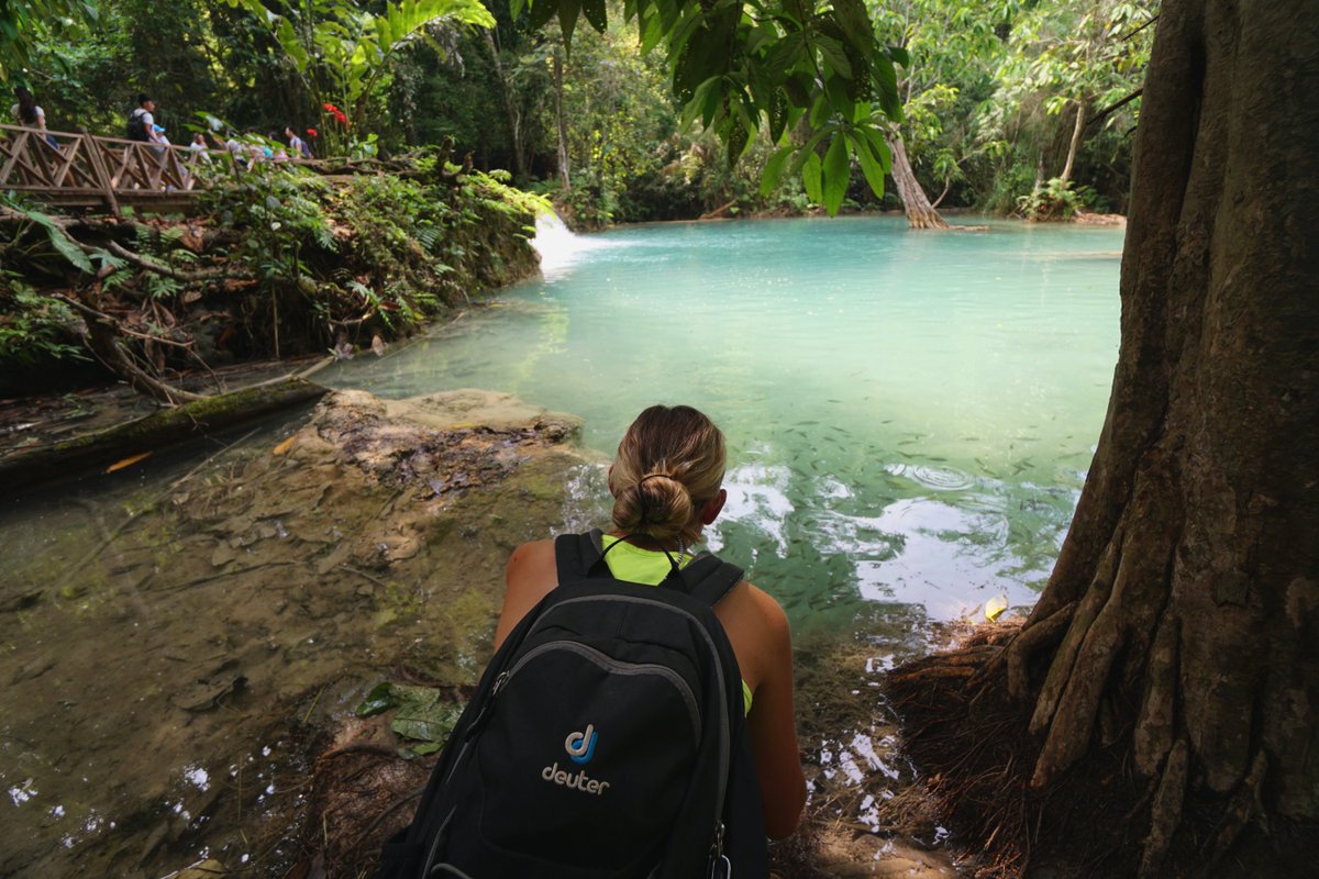 EverOnTravel's tweet photo. Letzter Tag in #Laos an den Kuang Si Waterfalls - das türkisblaue Wasser ist einfach nur der Wahnsinn 🤩

Morgen geht unsere #Weltreise weiter - wir sehen uns am Flughafen...

#Luangprabang #kuangsi #kuangsiwaterfall #reise #reiseblogger https://t.co/yyf8C16GlV