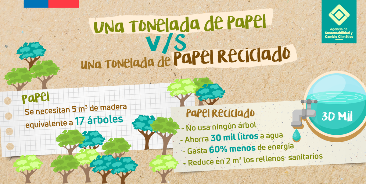 nativo pecador Él impacto ambiental del consumo de papel Desconexión