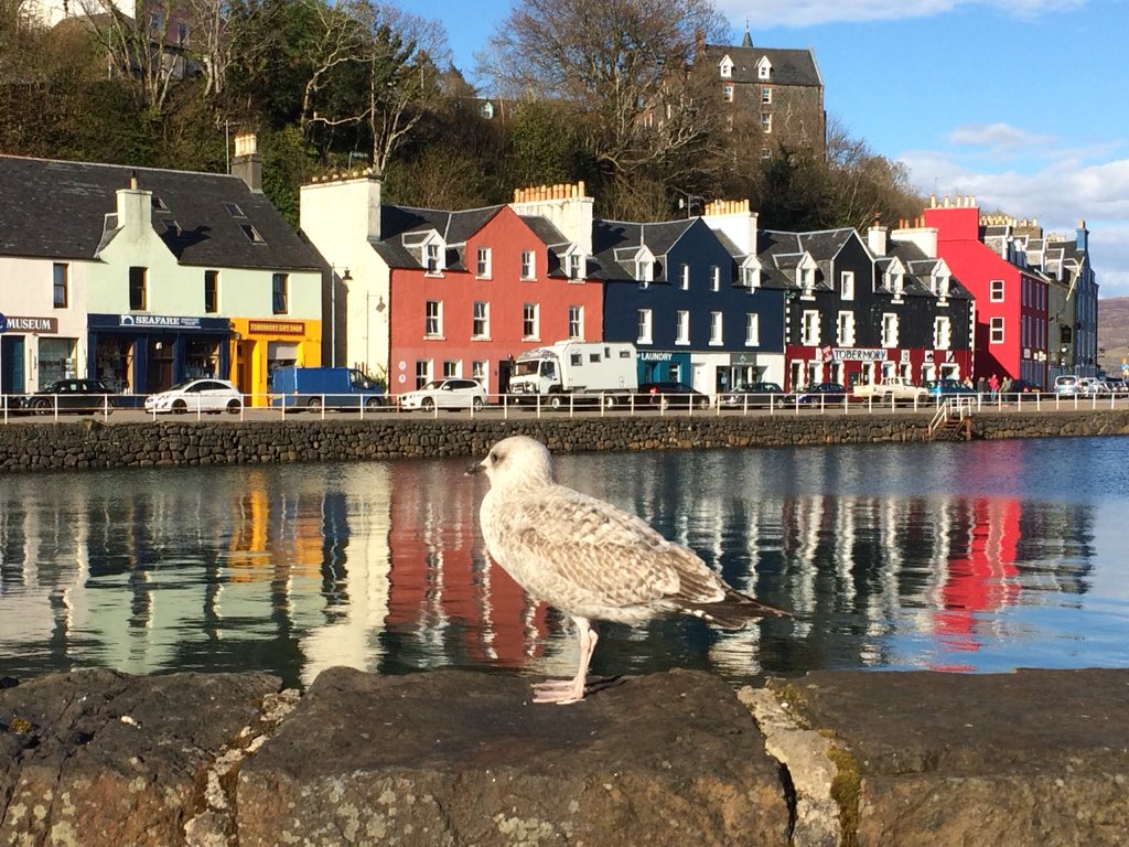 SueHLawrence's tweet photo. #Mull  on a sunny spring Sunday  :  Calgary beach, Tobermory, Honesty Box wth homemade jams https://t.co/TgqyfT49s4