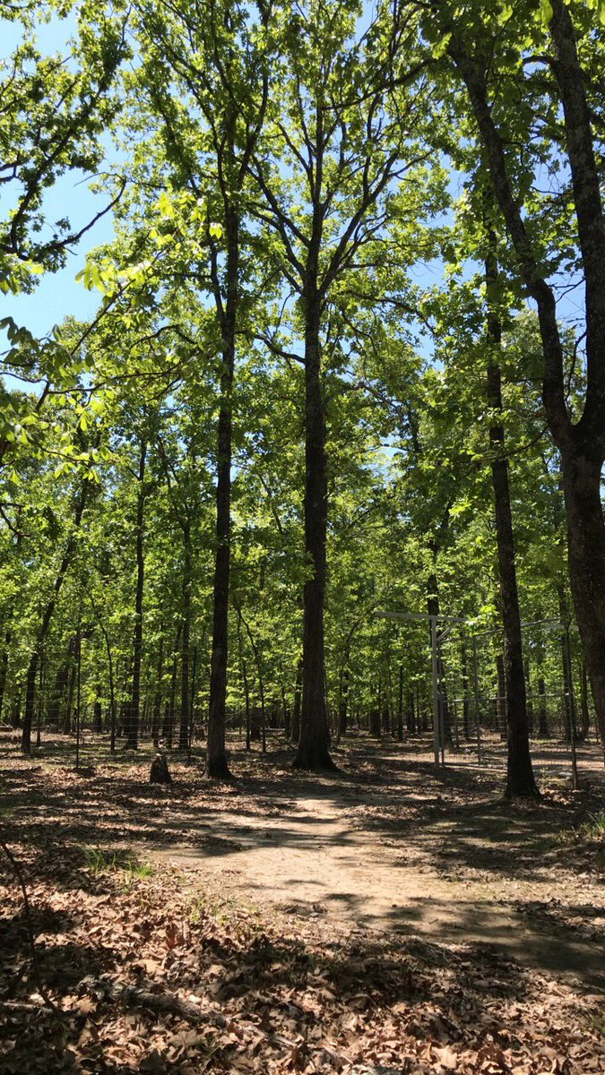 Nexttripwhite's tweet photo. Good Sunday morning friends. It’s a beautiful day here in this awesome scenery. We are all just taking it easy today enjoying this nice weather. We hope you all have a great day too!!! https://t.co/6mCmDgjCWd