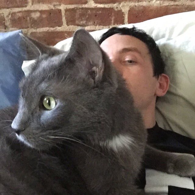 FinnCatTaylor's tweet photo. DAD @robinlordtaylor  IS THAT @mister_CMS  OVER THERE??? 😻😻😻 https://t.co/aI27etd4ha