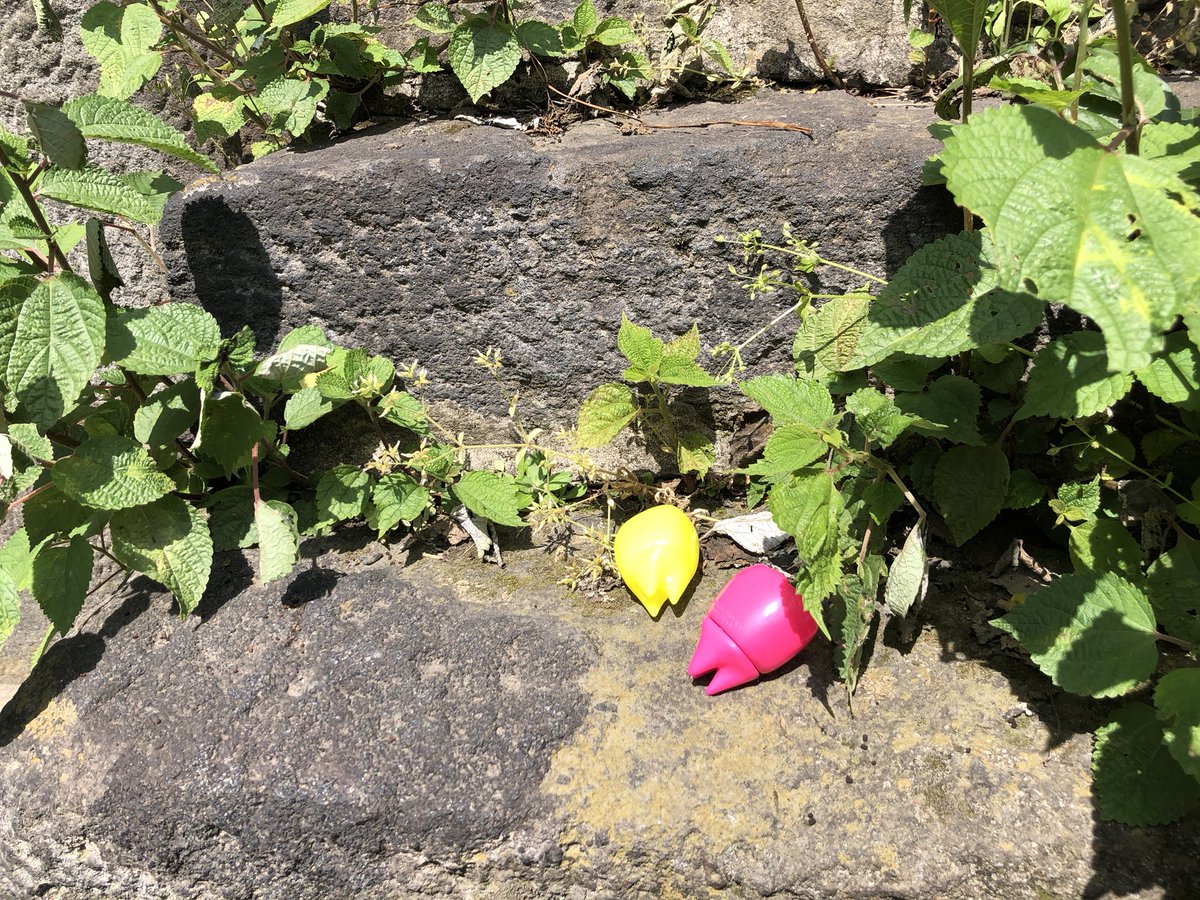 DISC_IN's tweet photo. スーフェス77
木内歯科医院「木内歯科医院70周年記念ソフビ 臼歯のキューシーちゃんmini（ピンク・イエロー）」。
スーフェスに行くたびに気になっていた歯をようやく購入出来た。ポップな歯。オマケでリステリンを頂いたのでこれから使おうと思う。 #木内歯科医院 #キューシーちゃん #臼歯 #sf77 https://t.co/W3gK8TBcJZ