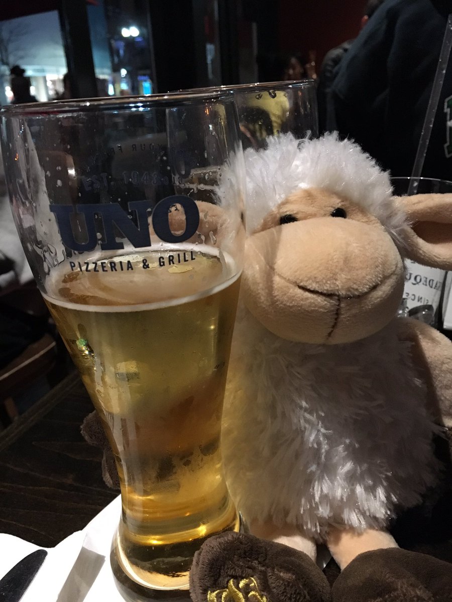 goosesmom's tweet photo. #exeterthesheep https://t.co/qj7ubCh3nv