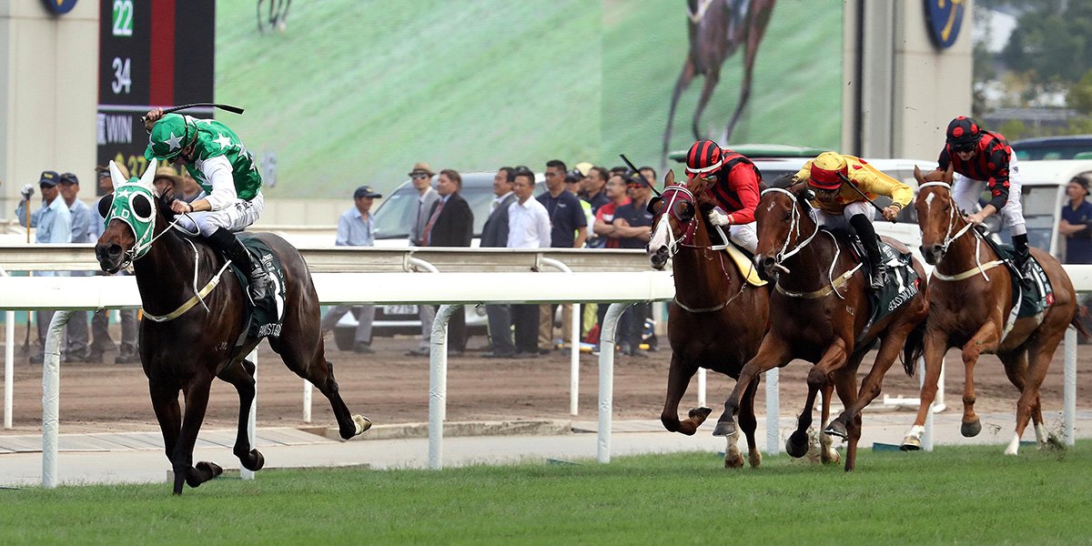 SecretariatsWld's tweet photo. #Shamardal gelding Pakistan Star under William Buick smashed his rivals in the G1 #APQEII with a performance of uncomplicated superiority.  He was followed by stablemate #GoldMountain in second &amp; January Cup winner #EagleWay in third. #HKChampionsDay #horseracing @HKJC_Racing https://t.co/bRaYS2LP6E