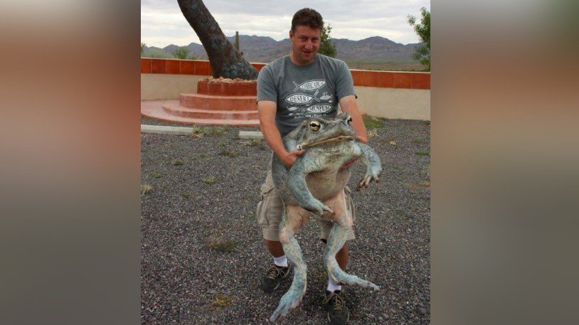 EnFeeTamine's tweet photo. Ça va pas marcher !
Il faut embrasser le crapaud pour le transformer, faut pas l'enculer. https://t.co/HFbyYj1B2j