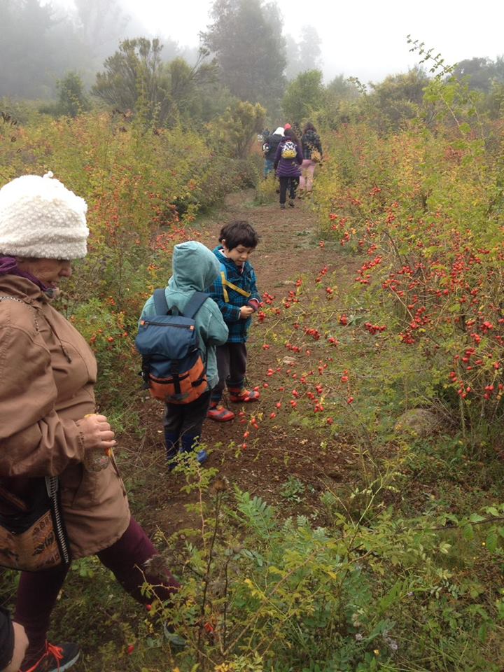 tiaskote's tweet photo. Así es! Desde pequeños aprendiendo a convivir y determinar responsabilidades
Proyecto TREMEN #Rari @RegMaule @goberdelinares  @Mineduc 
Difunde #MIA0122

https://t.co/NNyR0IaOPh … https://t.co/WtrEXHzcpF