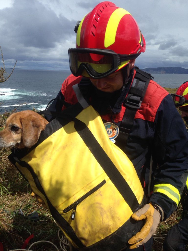 GABI_begonha's tweet photo. Parabéns a @ Marilo , @ Alex e familia xa recuperaron a @Xana despois dunha seman pérdida nos cantis do @ seixobranco @ mera . Recoñecemento o servicio municipal de emergencias do concello de Oleiros . O mundo e dos perseverantes
#SMEPC #EmerxenciasOleiros #Concello #Oleiros https://t.co/KVoqHbQfi6