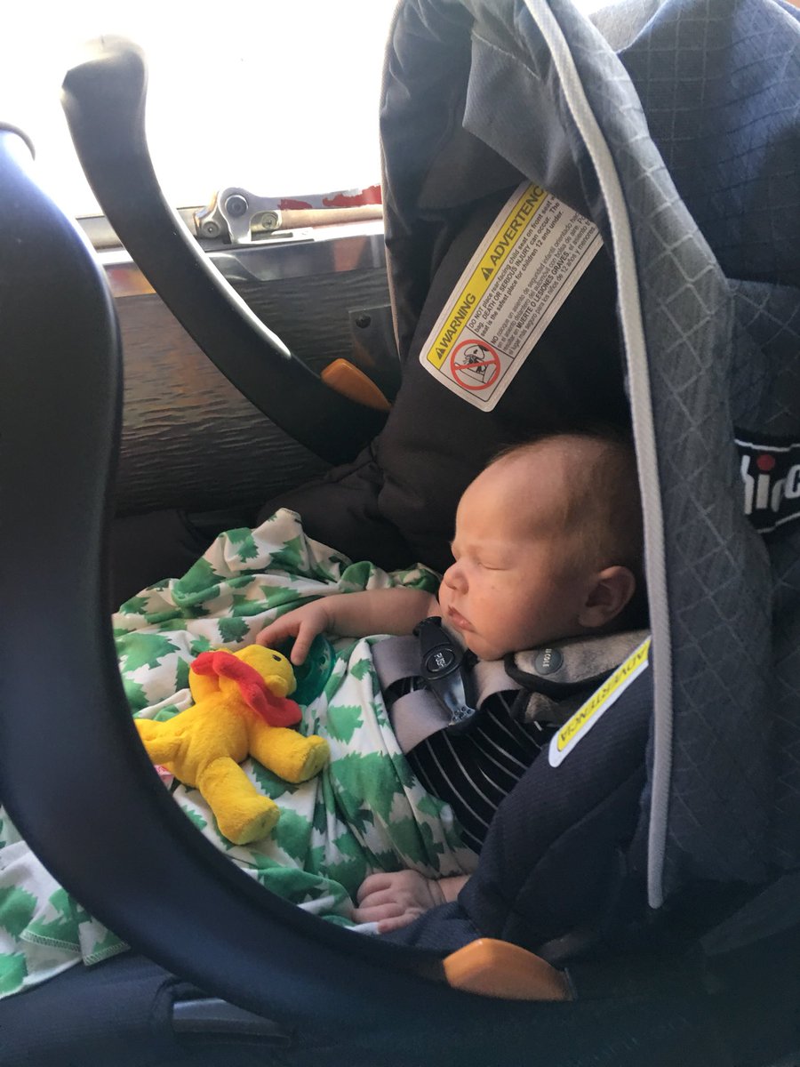 BYoung_24's tweet photo. Baby Solo’s first time on the church bus and he’s missing all the fun! https://t.co/M0xQ0nhI5p
