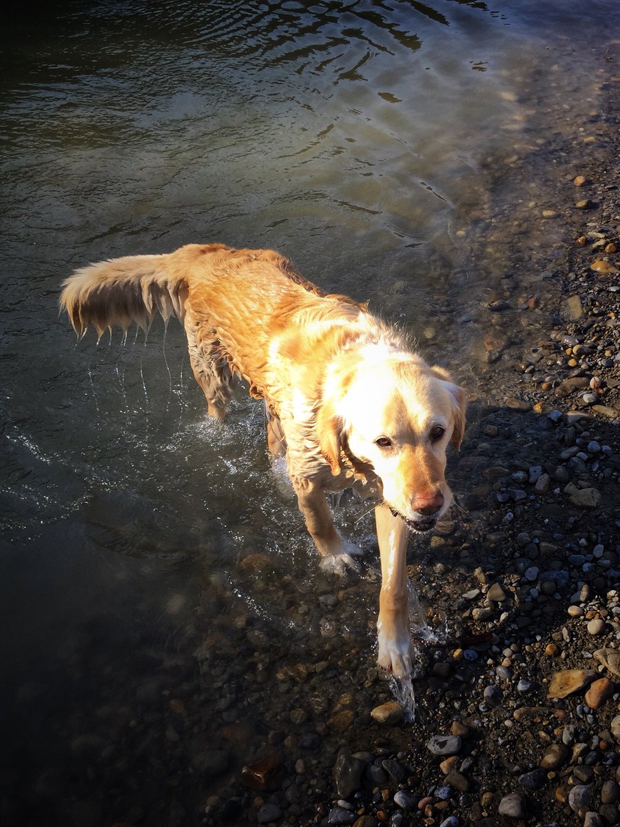 SkyyV1's tweet photo. First swim of the season! https://t.co/75hA9nYVoN