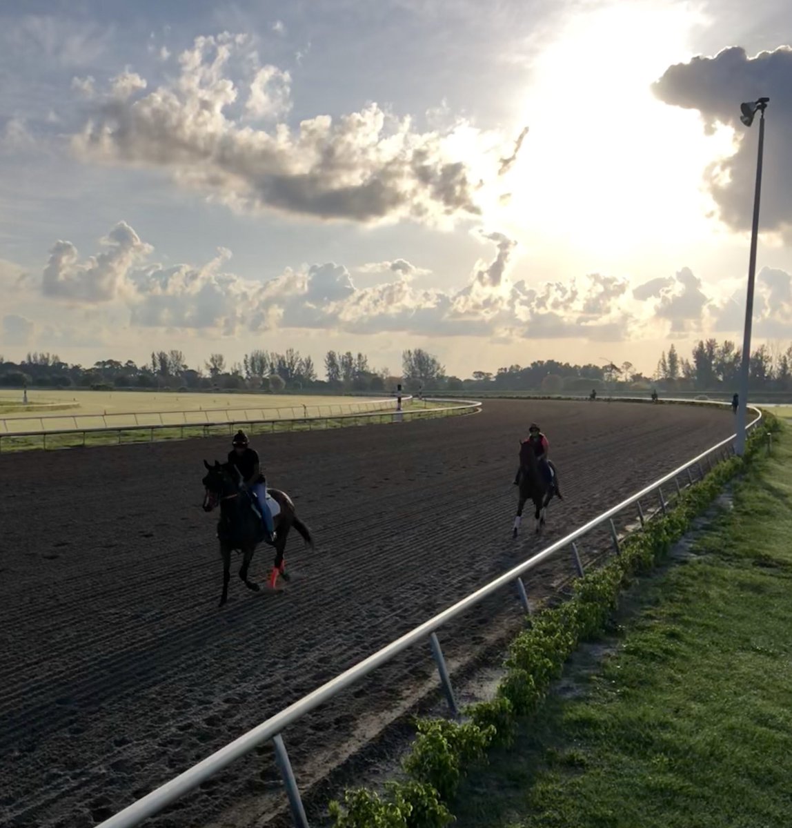 TropicalRacing tweet media