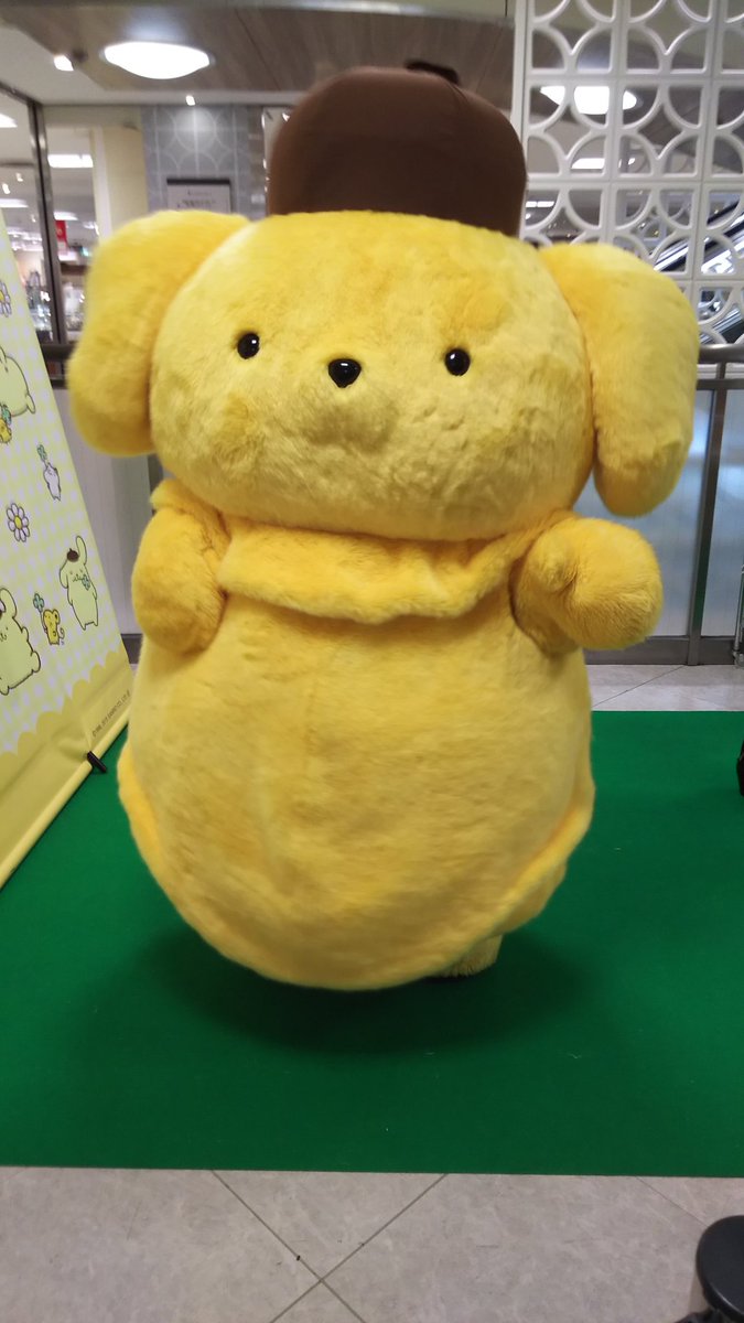 プリン 会 ポムポム 展示